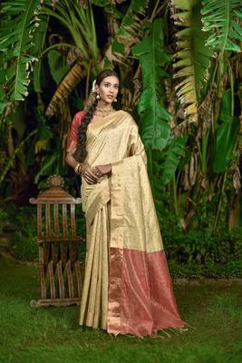 SKIN  SILK CLASSY SAREE 1