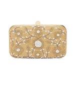 Golden elegant clutch