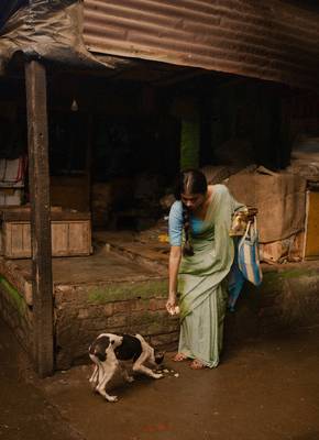 Pastel Green and Blue Mul Modal Saree with Running Blouse Piece 3