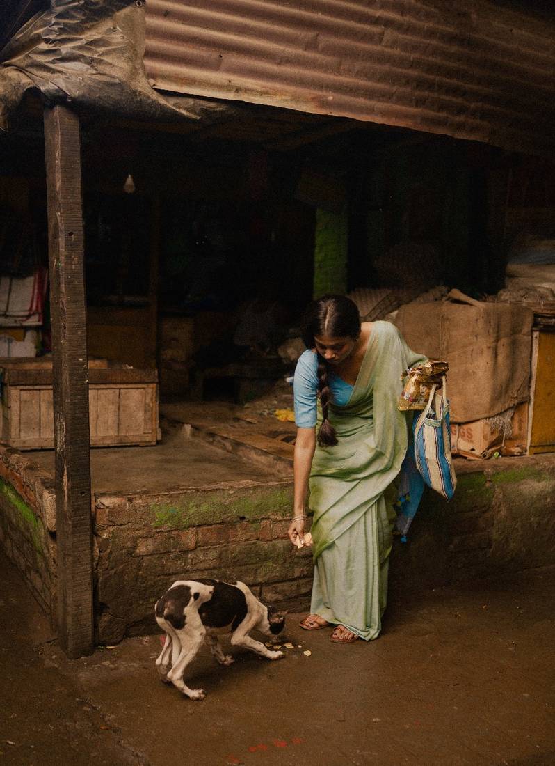 Pastel Green and Blue Mul Modal Saree with Running Blouse Piece