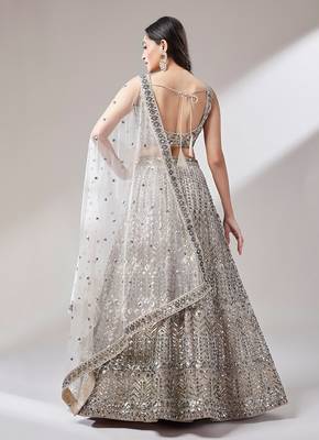 Beige Net Mirror &  Sequin embroidery Lehenga choli & Dupatta 3