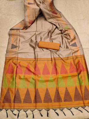 CHIKU BEAUTIFUL RAW  SILK PRETTY SAREE 3