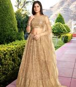 Gold Net Sequin Embroidered Lehenga 