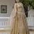 Gold Net Sequin Embroidered Lehenga 