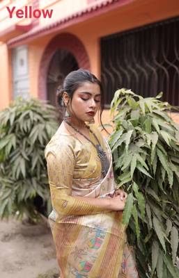 LIGHT CHIKU ELEGENT TUSSAR SILK SAREE  3