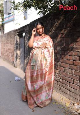 LIGHT CHIKU ELEGENT TUSSAR SILK SAREE  1