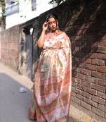 LIGHT CHIKU ELEGENT TUSSAR SILK SAREE 