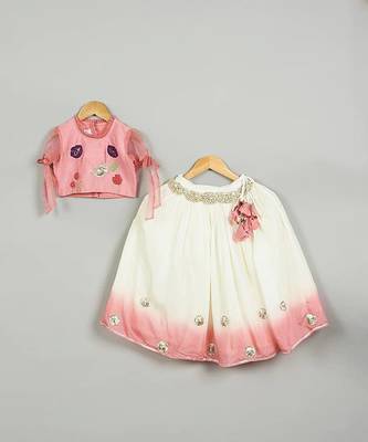 Pink shaded embroidered ghagara set 2