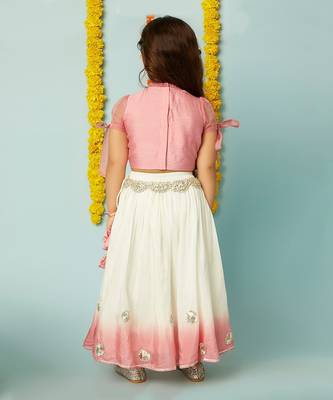 Pink shaded embroidered ghagara set 4