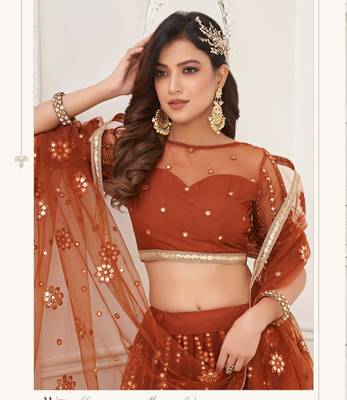 Brown Embroidery Net A Line Lehenga With Blouse 4