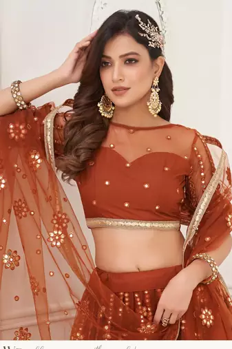 Brown Embroidery Net A Line Lehenga With Blouse