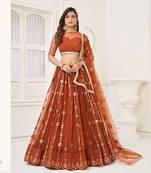 Brown Embroidery Net A Line Lehenga With Blouse