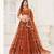 Brown Embroidery Net A Line Lehenga With Blouse