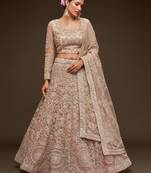 Royal Beige Net Zari Thread & Glitter Dori Embroidery Work Wedding Festival Party Wear Designer Lehenga Choli