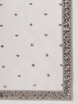 Beige Net Mirror &  Sequin embroidery Lehenga choli & Dupatta 5