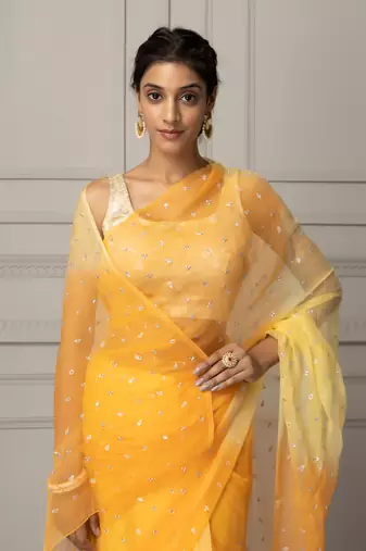 Yellow Shaded Hand Embroidered Chiffon Saree