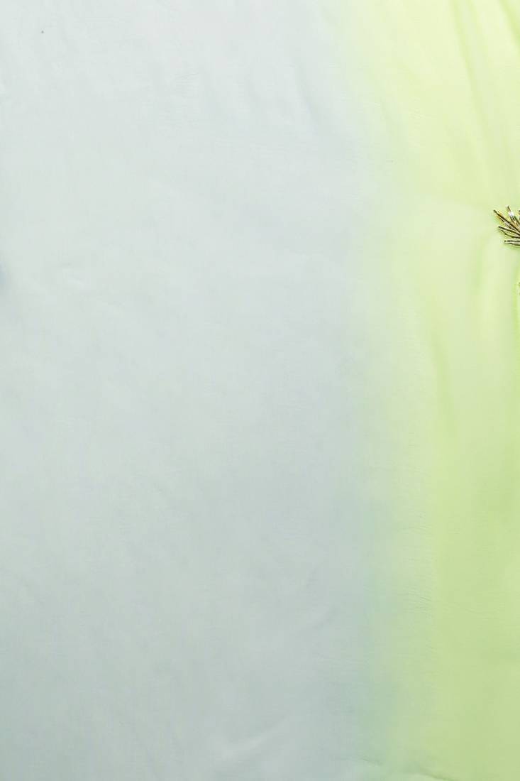 Geroo Jaipur Green-Grey Shaded Handcrafted Gota Patti Chiffon Saree