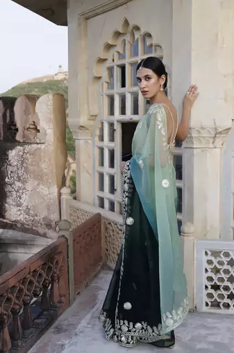   Shaded Handcrafted Gota Patti Organza Saree