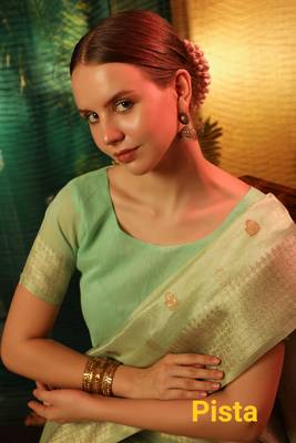 PISTA GREEN MOST GORGEOUS LINNEN TISSUE SAREE 2