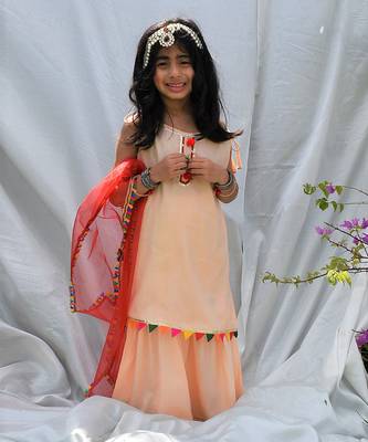 Peach gulbahar sharara set 2