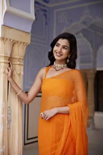   Orange Hand Embroidered Mukaish Chiffon Saree