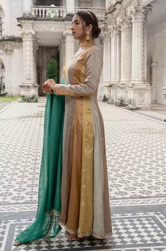 Gold tissue anarkali set