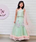 Pista green embroiderd ghagra choli