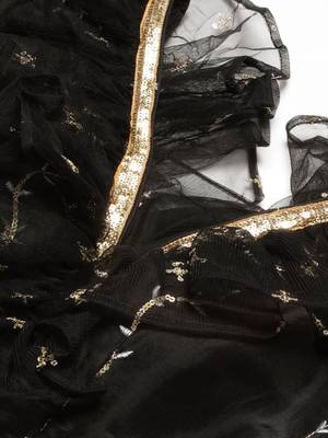 Ethnovog Ready To Wear Black Viscose Embroidered Lehenga Set 4