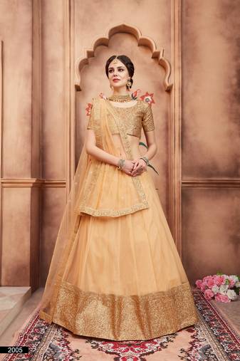 Fusionic beige embroidered net lehenga-choli with blouse