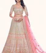 Fusionic white embroidered net lehenga-choli with blouse