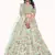 Fusionic green embroidered net lehenga-choli with blouse