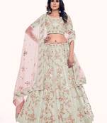 Fusionic off-white embroidered net lehenga-choli with blouse
