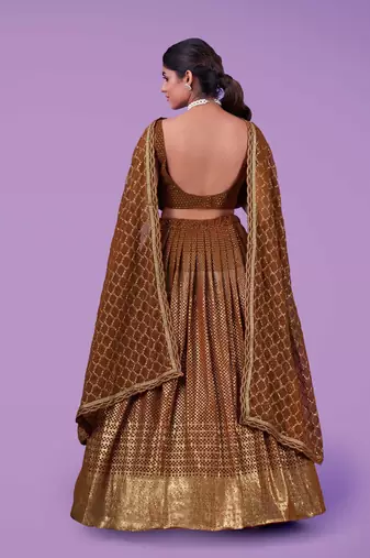 Fusionic grey embroidered georgette lehenga-choli with blouse