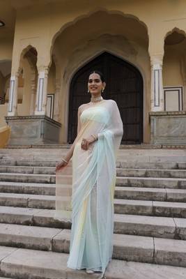   Multi shaded mukaish jaal hand embroidered chiffon saree with blouse 2