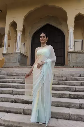   Multi shaded mukaish jaal hand embroidered chiffon saree with blouse