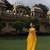 Geroo Jaipur Yellow hand dyed plain chiffon saree with jacquard blouse