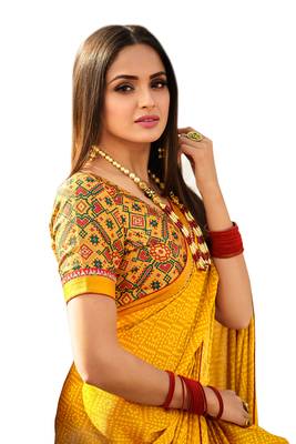 Mannequin store printed saree 2
