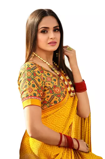 Mannequin store printed saree