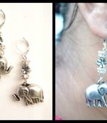 Elephant parade Earrings