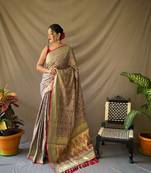 TAN TRENDY UNIQUE  PATOLA SAREE