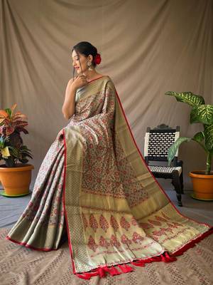 TAN TRENDY UNIQUE  PATOLA SAREE 3