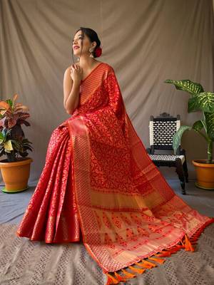 RED TRENDY UNIQUE  PATOLA SAREE 2
