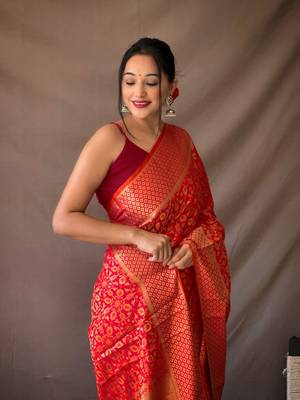 RED TRENDY UNIQUE  PATOLA SAREE 3