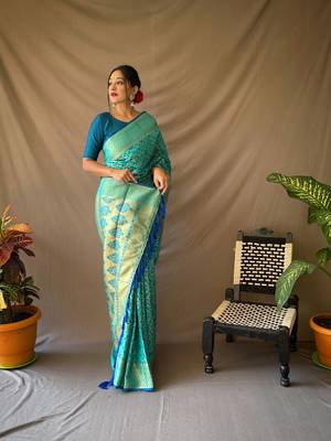 WHITE ELEGANT ORAGANZA SAREE 1