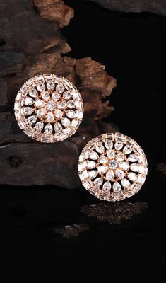 White Gold Plated Stone Earrings 1