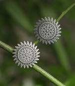 Look like silver circular shaped studs