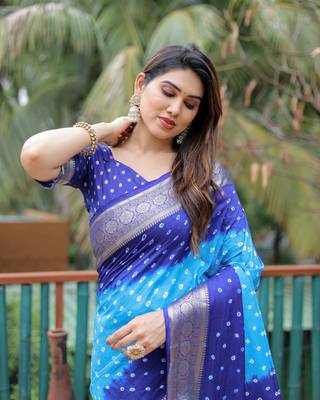 Blue Sky Woven Design Bandhej silk blend Saree With Blouse 4