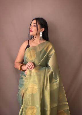 LIGHT GREEN GOREGOUS  TISSUE SILK SAREE 3