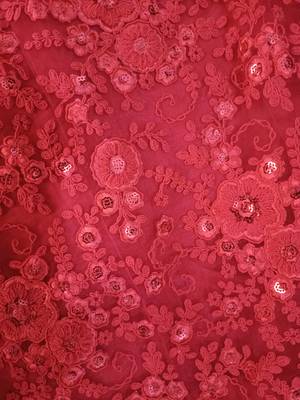 Red Zarkan And Dori Embroidered Net Designer Lehenga Choli 6