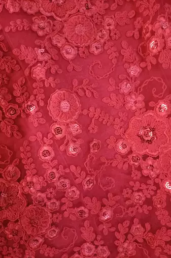 Red Zarkan And Dori Embroidered Net Designer Lehenga Choli